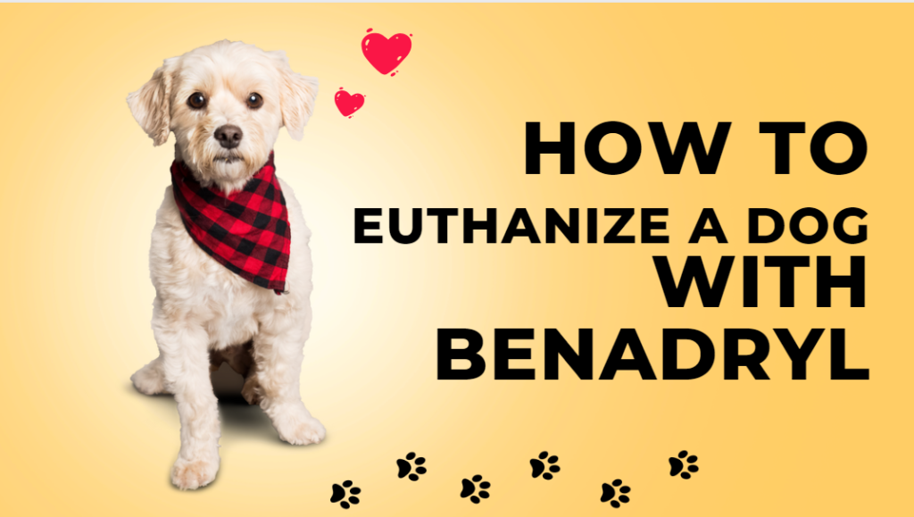 How to Euthanize a Dog with Benadryl